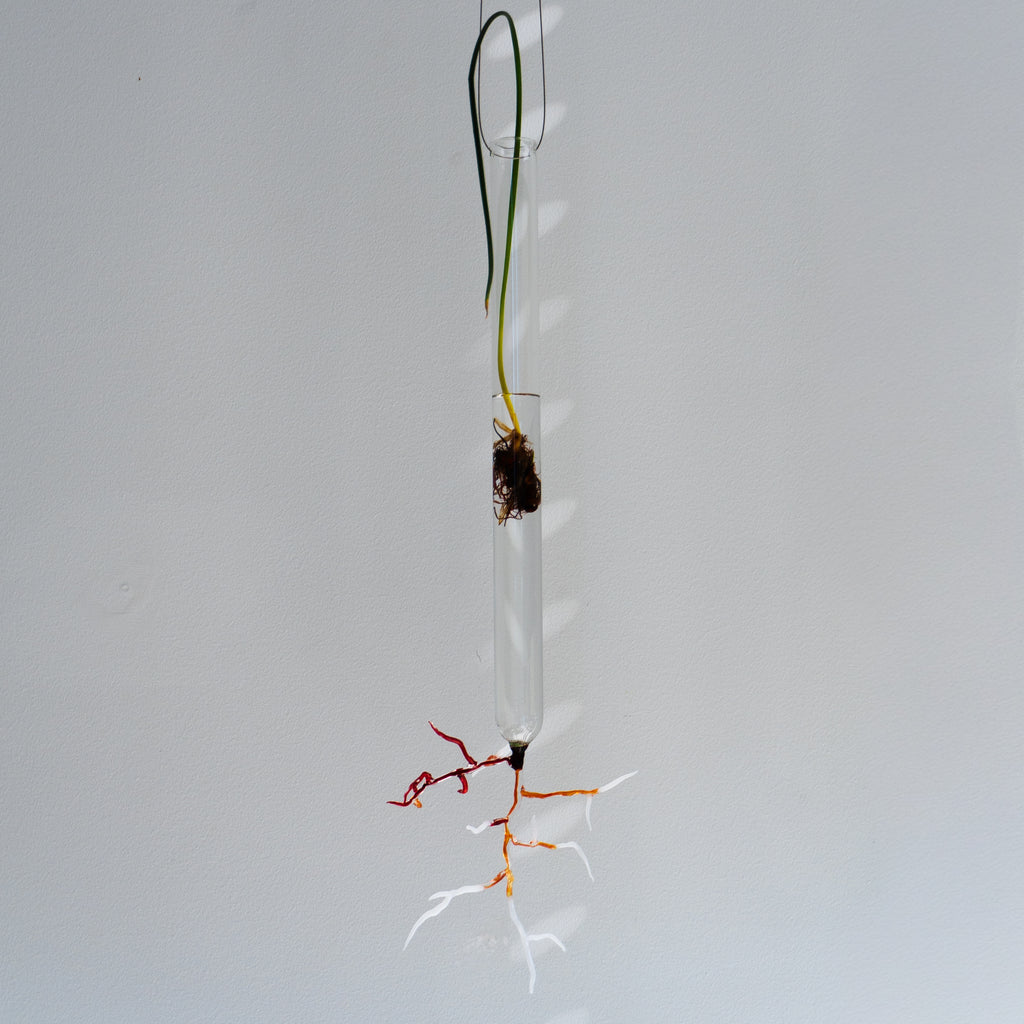 Justine McLaren | Glass | Quiet growth #5
