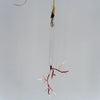 Justine McLaren | Glass | Quiet growth #7