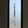 Justine McLaren | Glass | Quiet growth #8