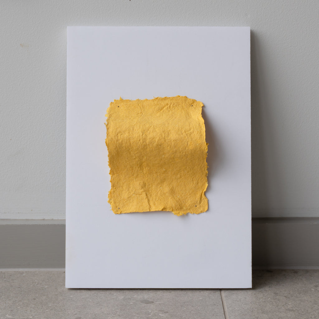 Sasha Trail | Mixed Media | 1/4 Carton