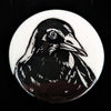 Fenja T. Ringl | Brooch - Magpie Scout |