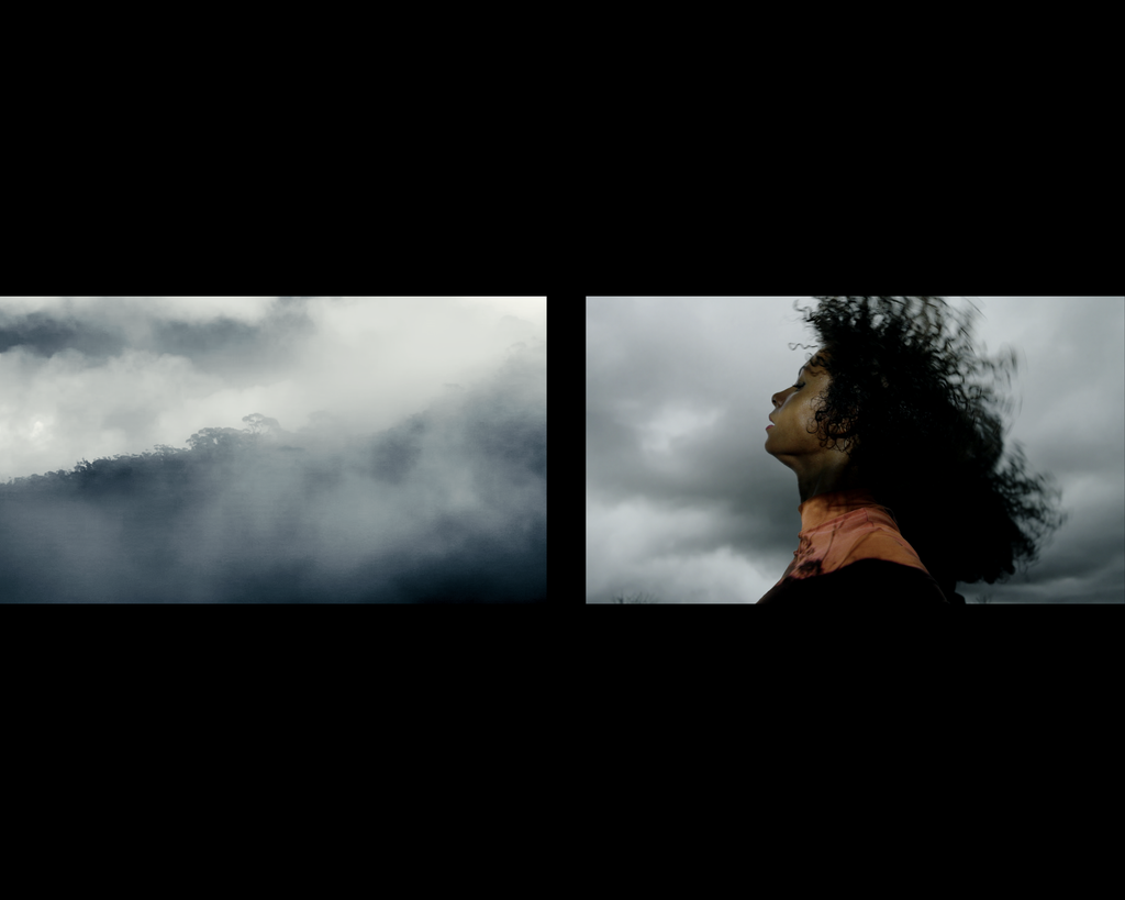 Marielle Gonier | Photography | First Encounter