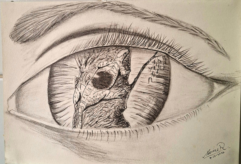 Marise Riddell | Drawing | Mesmereysed