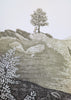 Fenja T. Ringl | Printmaking | Marsupial Tapir (Palorchestes) on the Goodradigbee Limestone. AP2, framed