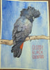 Matthew Northfield | Mixed Media | Glossy Black Cockatoo
