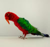 Artie McCarthy | Textiles | Kieran the King Parrot