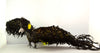 Artie McCarthy | Textiles | Yorick the flying Yellow-tailed Black Cockatoo