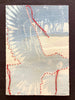 Merry Robertson | Mixed Media | Red Alert - Baudin's Black Cockatoo Disappearing