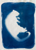 Rebecca Tapscott | Echoes of Absence | Printmaking | Mountain Possum