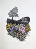Fenja T. Ringl | Printmaking | Namadgi Botanica. Ed. 2 of 30, framed