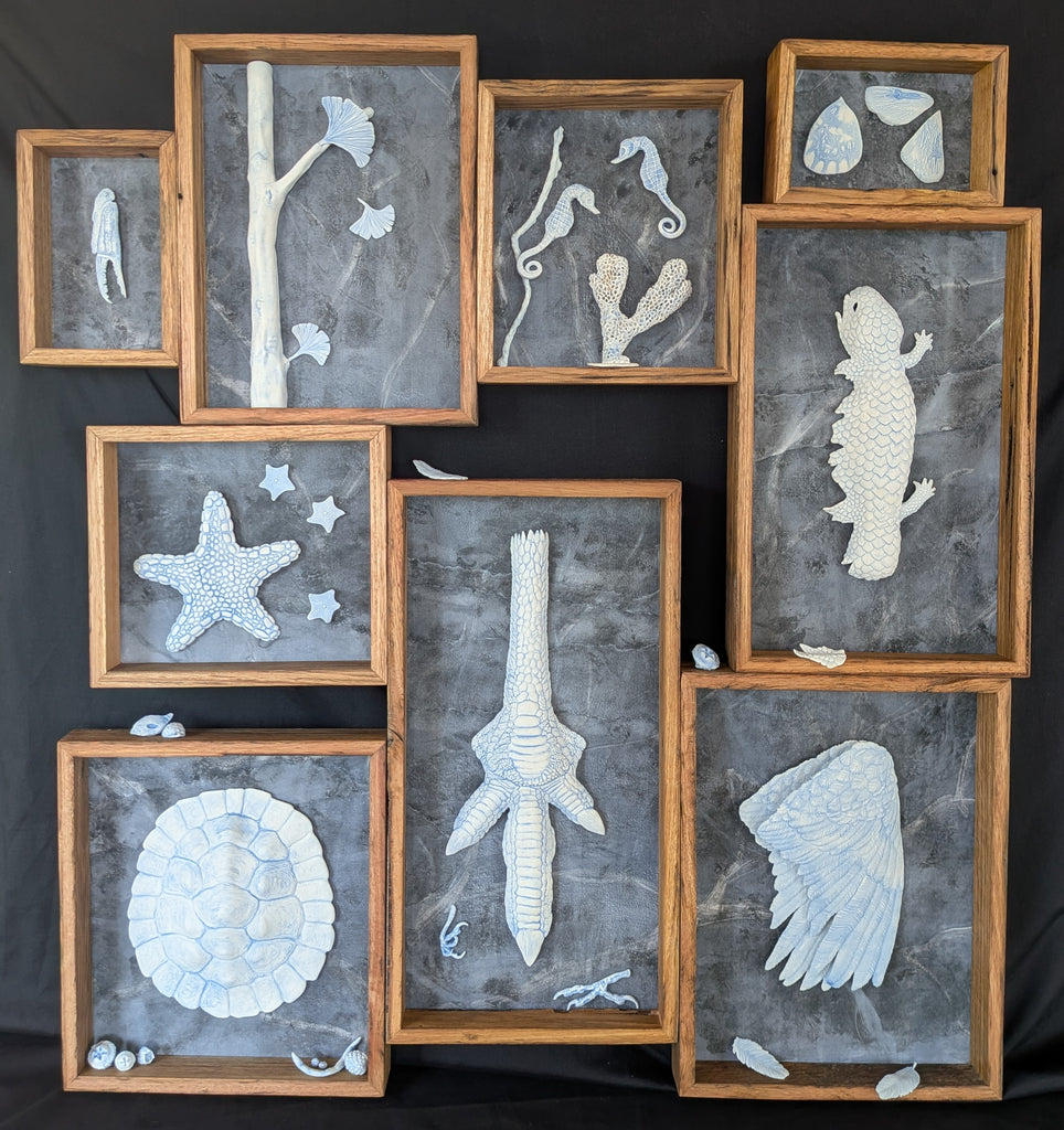 Fenja T. Ringl | Printmaking | Nature's Cabinet of Parts. Unique state