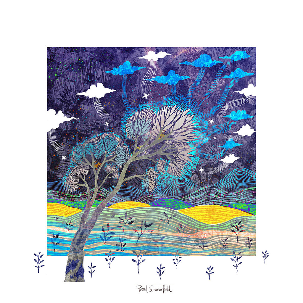 Paul Summerfield | Botanical Systems | Digital Media | Night Blossoms