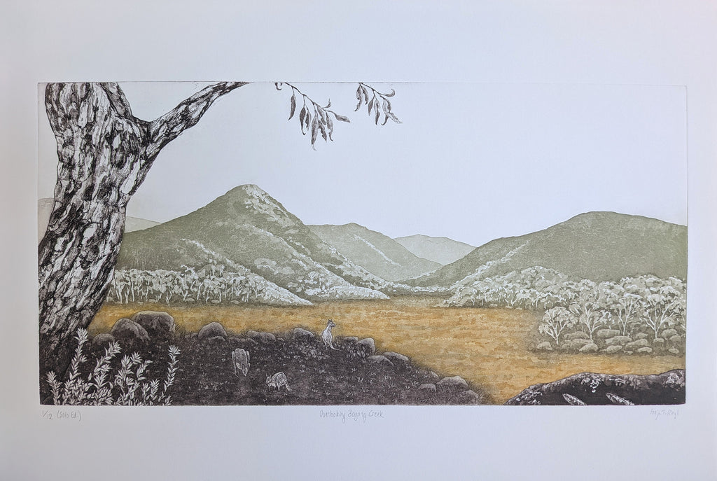 Fenja T. Ringl | Printmaking | Overlooking Bogong Creek (Solo Ed.). Ed. 1 of 12, framed