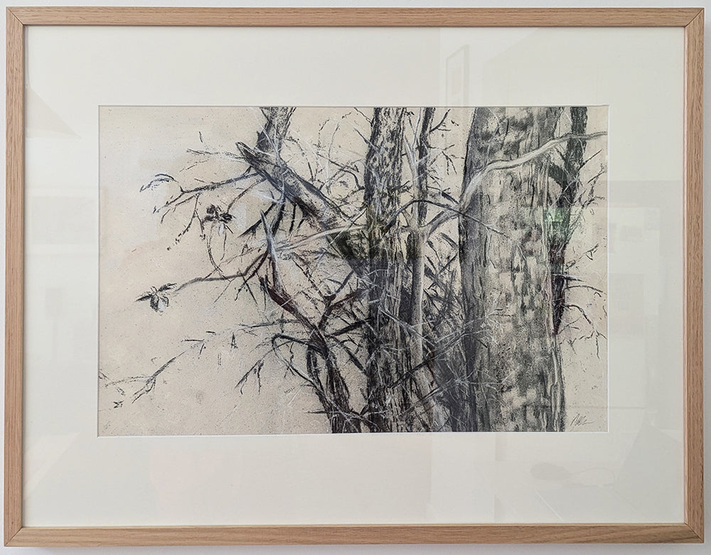 Peter McLean | Oikos | Drawing | Thicket