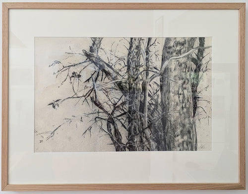 Peter McLean | Oikos | Drawing | Thicket