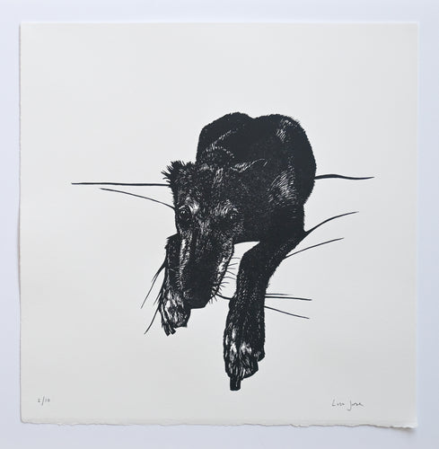 Lisa Jose | Printmaking | Pearl