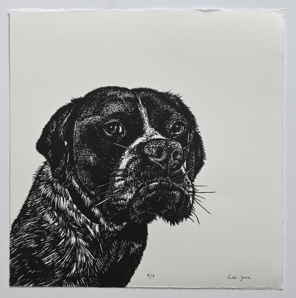 Lisa Jose | Printmaking | Polly