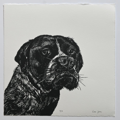 Lisa Jose | Printmaking | Polly