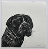 Lisa Jose | Printmaking | Polly