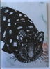 Fenja T. Ringl | Cards |