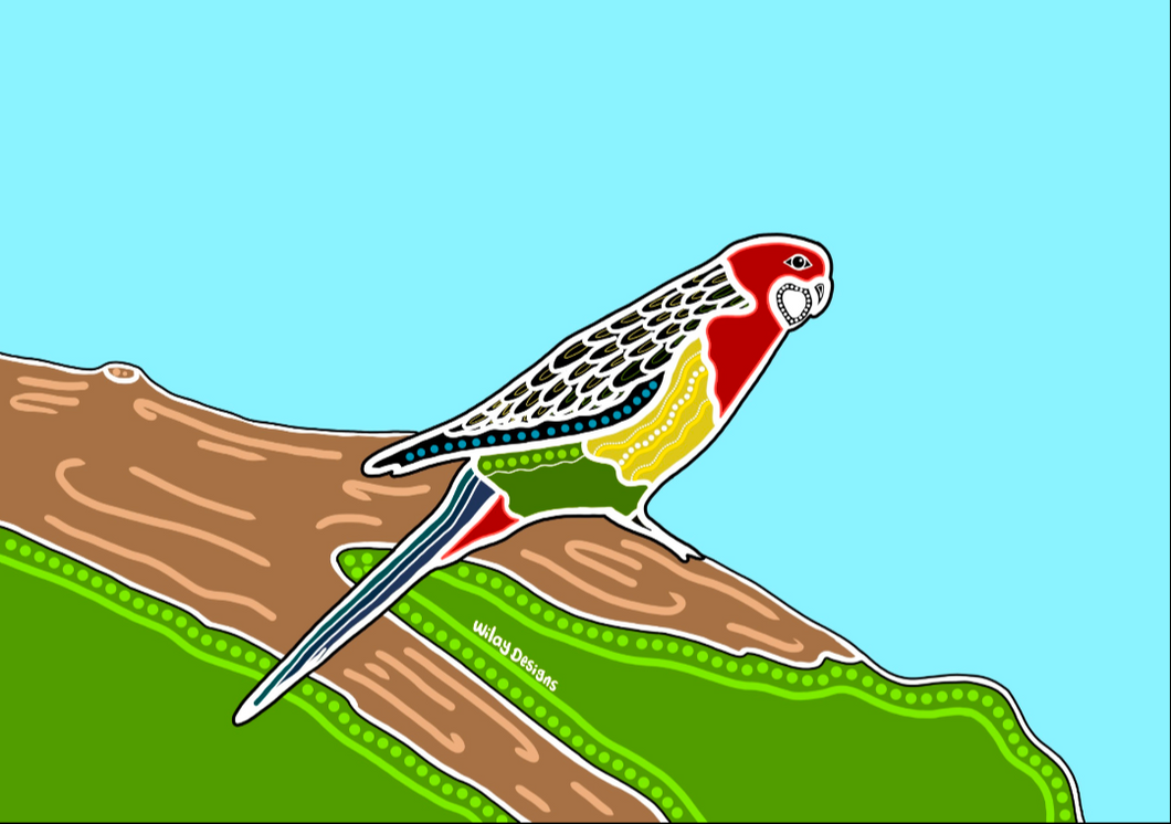 Jazz Matthews | Digital Media | Radiant Rosella