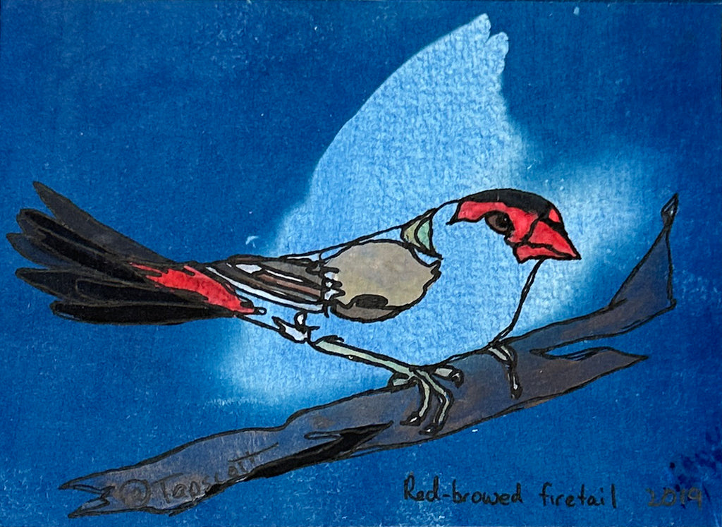 Rebecca Tapscott | Echoes of Absence | Mixed Media | Redbrowed Fire-tail Finch