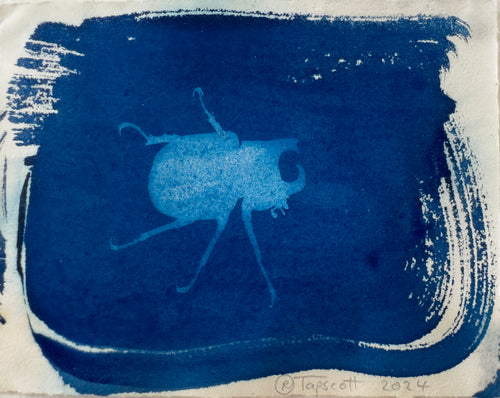 Rebecca Tapscott | Echoes of Absence | Printmaking | Rhinoceros Beetle