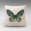 Varta Living | Cushion cover- Richmond Birdwing Butterfly |