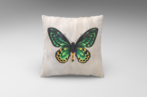 Varta Living | Cushion cover- Richmond Birdwing Butterfly |