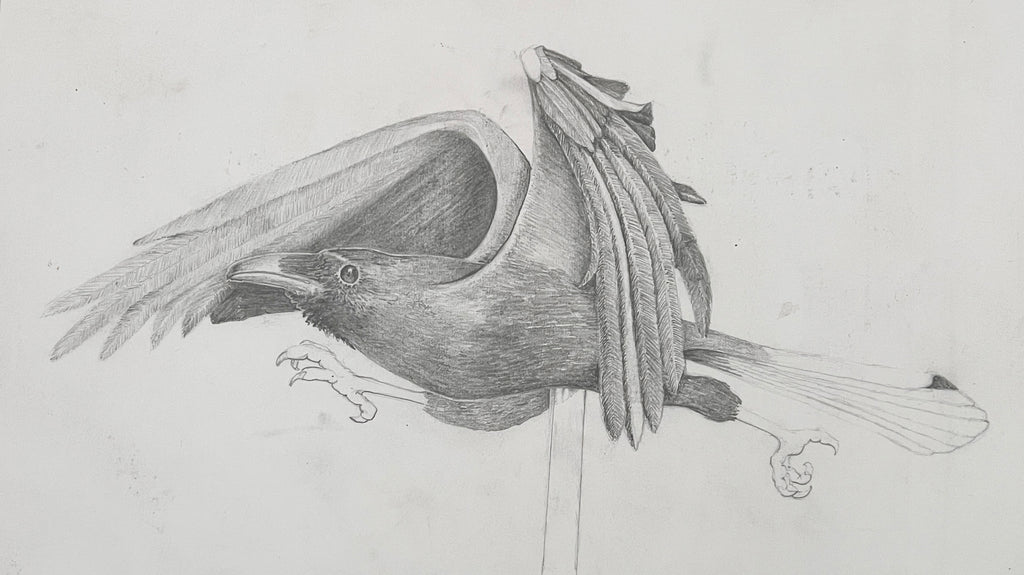 Mike MacGregor | Drawing | Running Raven