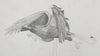 Mike MacGregor | Drawing | Running Raven