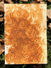 Sacha Lagaluga | Mixed Media | A Mother's Sanctuary: A Creek Guardian