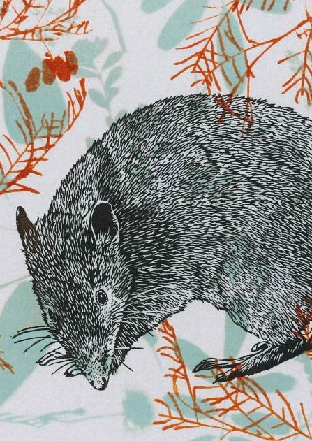 Fenja T. Ringl | Cards |