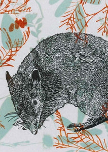 Fenja T. Ringl | Cards |