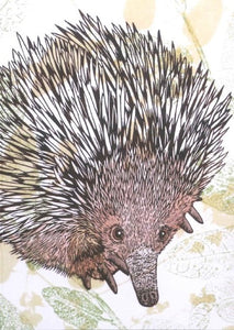 Fenja T. Ringl | Cards |