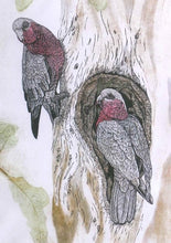 Load image into Gallery viewer, Fenja T. Ringl | Cards |