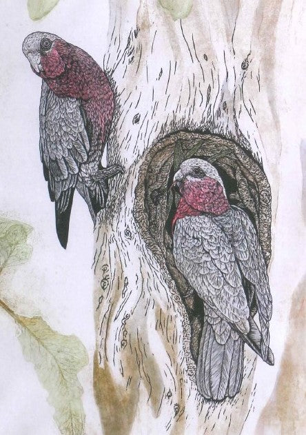 Fenja T. Ringl | Cards |