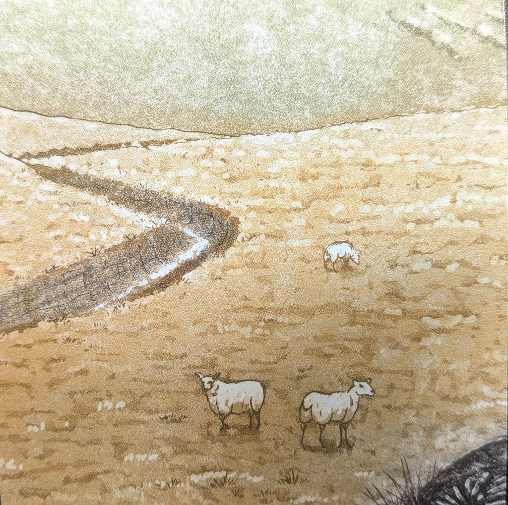 Fenja T. Ringl | Printmaking | Sheep at Wee Jasper. AP2, framed