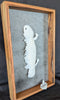 Fenja T. Ringl | Printmaking | Shingleback, shedding. VE. 3 of 9
