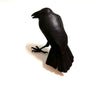 Mike MacGregor | Sculpture/Installation | Little Raven