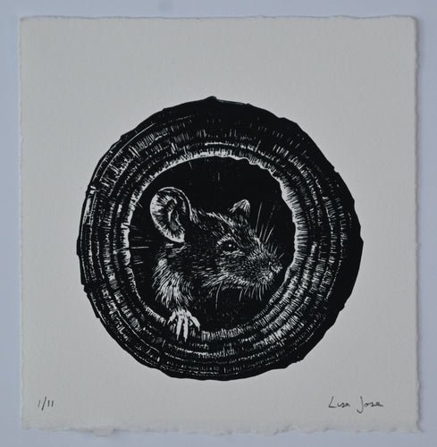 Lisa Jose | Printmaking | Smudge