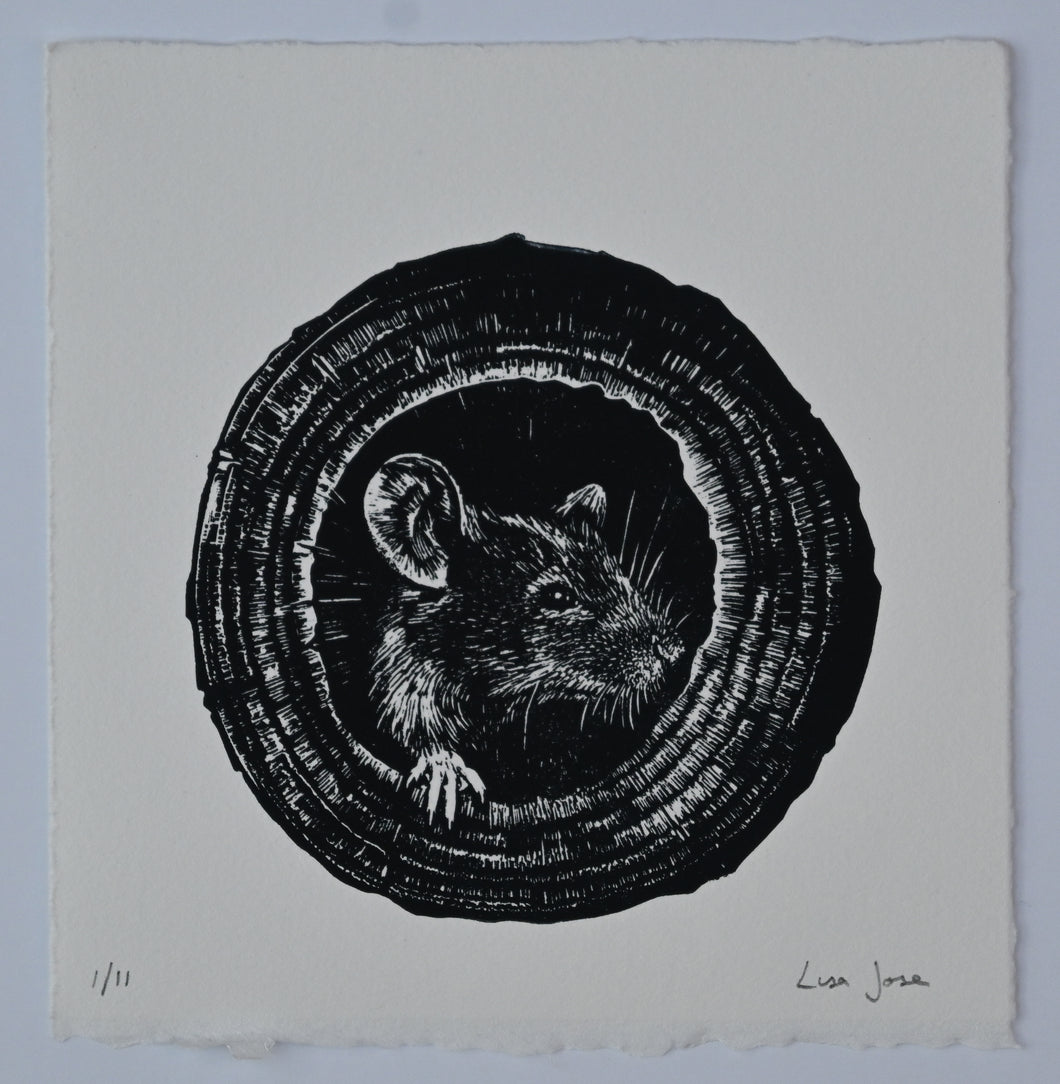 Lisa Jose | Printmaking | Smudge