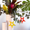 A Fiery Heart | Hanging Christmas ornament, sparkling star |