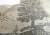 Fenja T. Ringl | Printmaking | Sthenurus & Thylacine at Goodradigbee. AP2, framed