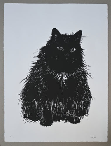 Lisa Jose | Printmaking | Stuart
