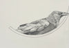 Mike MacGregor | Drawing | Study for "The Watch"