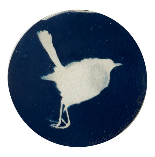 Rebecca Tapscott | Echoes of Absence | Printmaking | Superb Fairy Wren