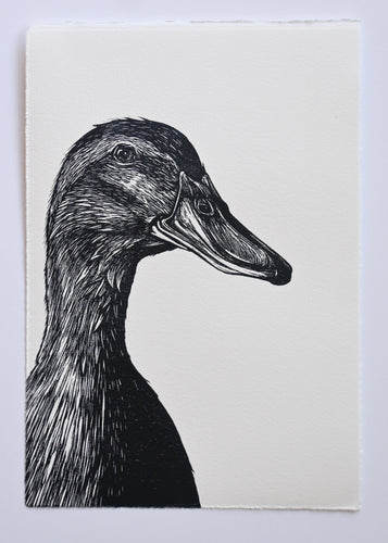 Lisa Jose | Printmaking | Sweetpea