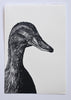 Lisa Jose | Printmaking | Sweetpea