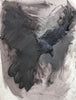 Kerry McInnis | Painting | Flying Raven